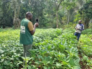 Taptue Arnaud dans sa ferme 2TA Bio Farm située à Bamougoum, Ouest Cameroun